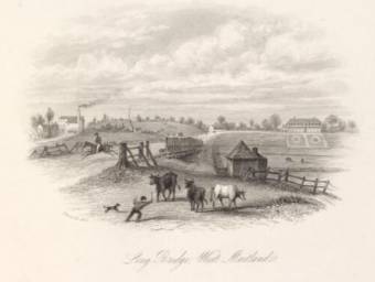 Long Bridge West Maitland - Frederick Charles Terry - National Library of Australia