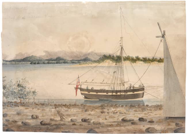 Mermaid at Endeavour River