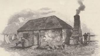 Newcastle Miners - Australasian Chronicle