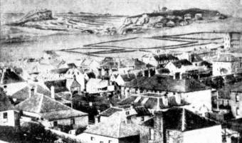 Sandhills at Newcastle